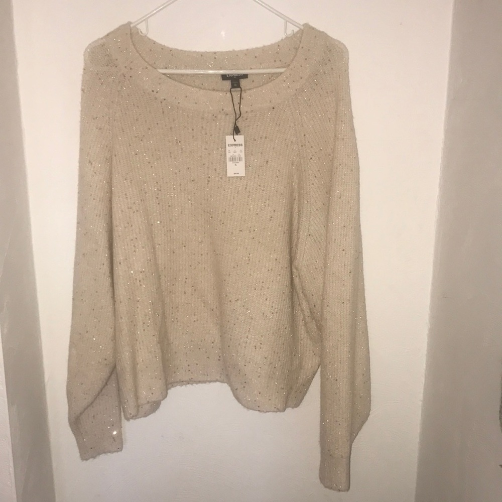 Express Sweater